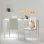 白と黒のレザー製ダイニングチェア