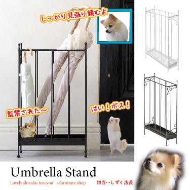 スリムだけど大容量のかわいい傘立て（ラインアートデザイン／完成品）