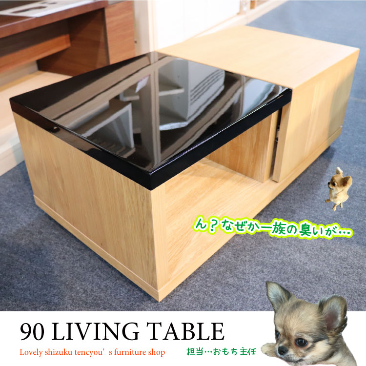 TA-2551 幅90cm高級感抜群！収納付きリビングテーブル