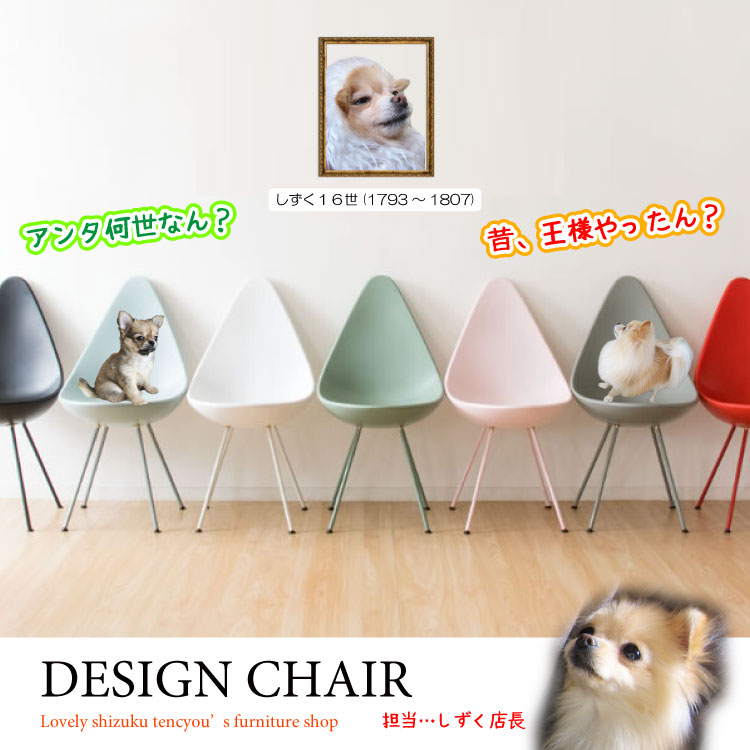 CH-3955 かわいいエッグ形のデザインチェア