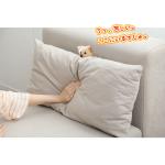 １つクッション付属です