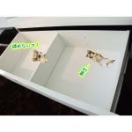 内側も白い化粧仕上げ