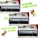 付属している仕切り板の位置