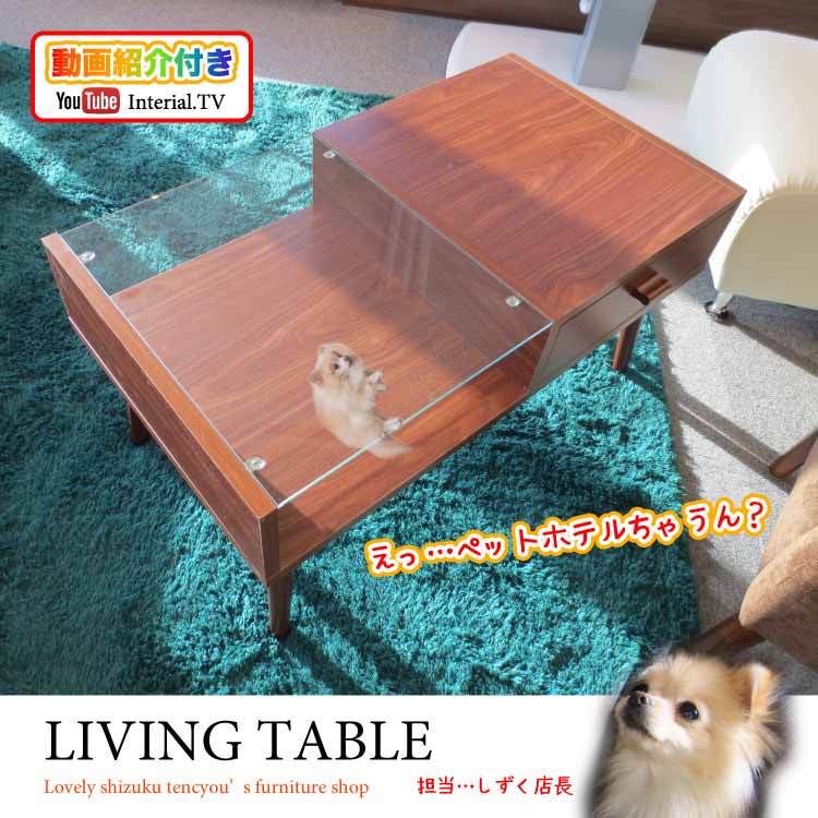 TA-1602 幅80cmおしゃれで安い！収納付きセンターテーブル